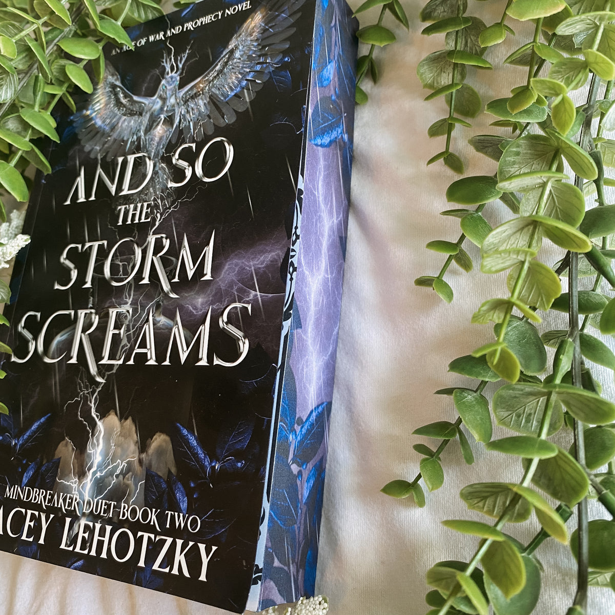And So The Storm Screams (Mindbreaker Duet, book 2) - Enemies to Lovers Spicy Dark Fantasy Romance Paperback