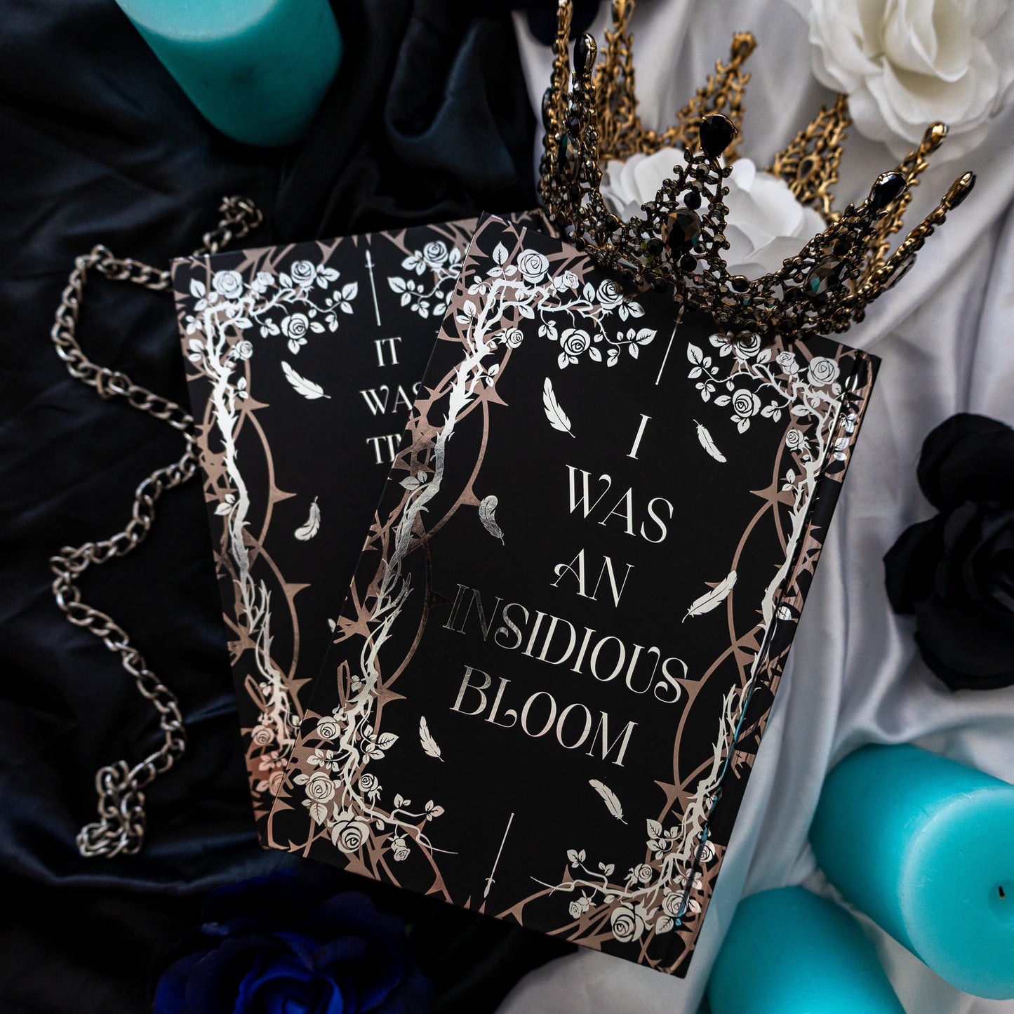 A Choice of Light and Dark Omnibus Set - Fantasy Romance Special Edition